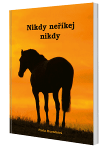 kniha Nikdy neříkej nikdy